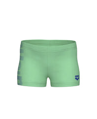 Arena Boys’ Kids Swim Shorts Logo Print