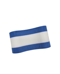 Arena Pull Buoy Blue-White